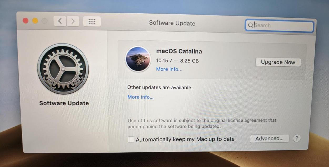 Download the Catalina update in System Preferences -> Software Update